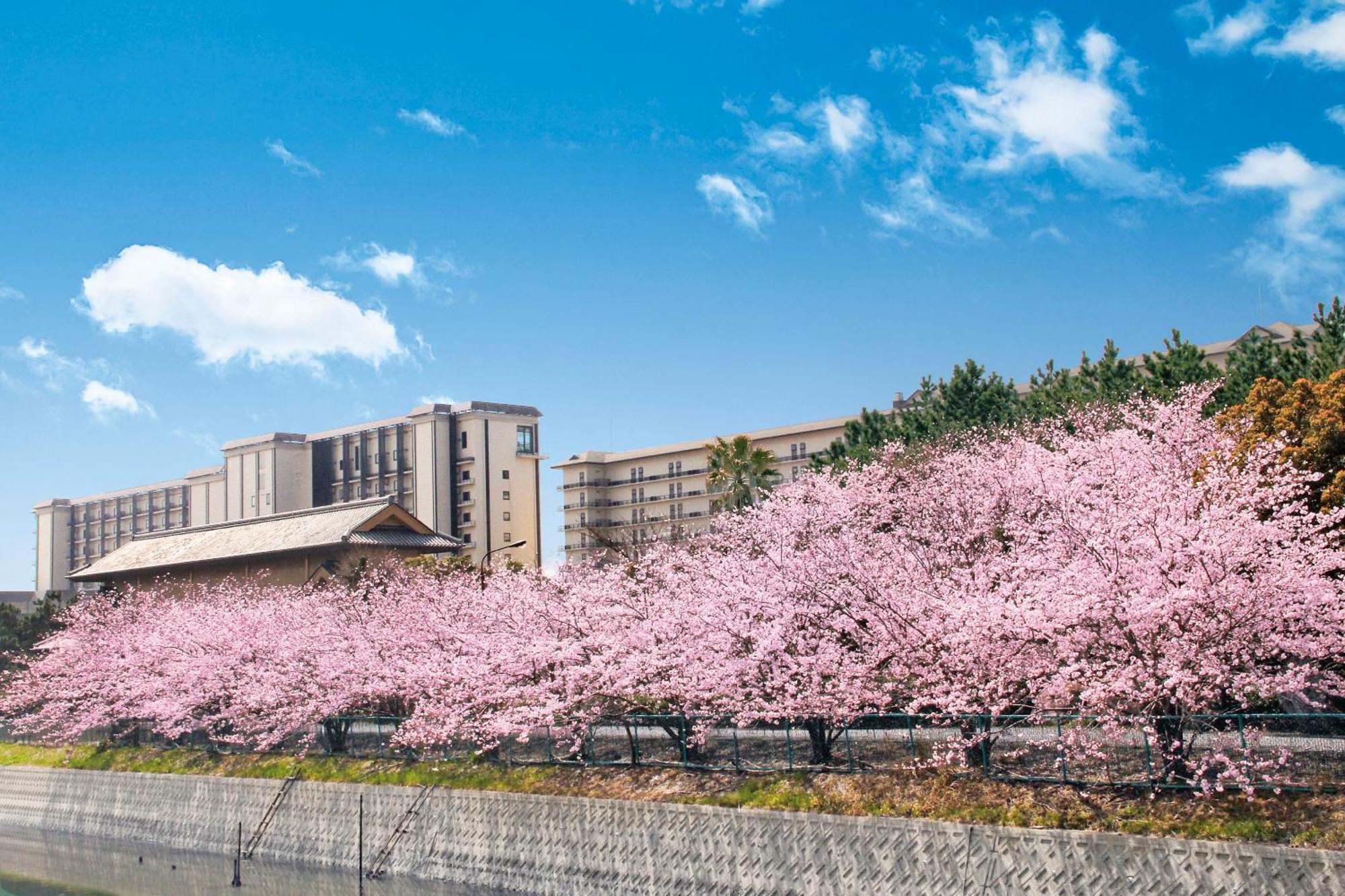 Ryugujo Spa Hotel Mikazuki Fujimitei Kisarazu Dış mekan fotoğraf